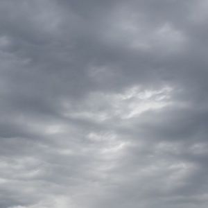 Meet your Posher, Harmit